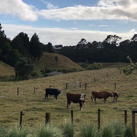 Pukeko Lodge Bnb New Plymouth Eksteriør billede