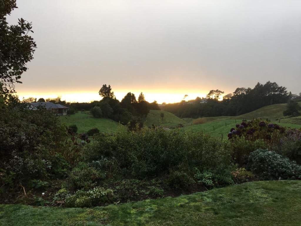 Pukeko Lodge Bnb New Plymouth Eksteriør billede