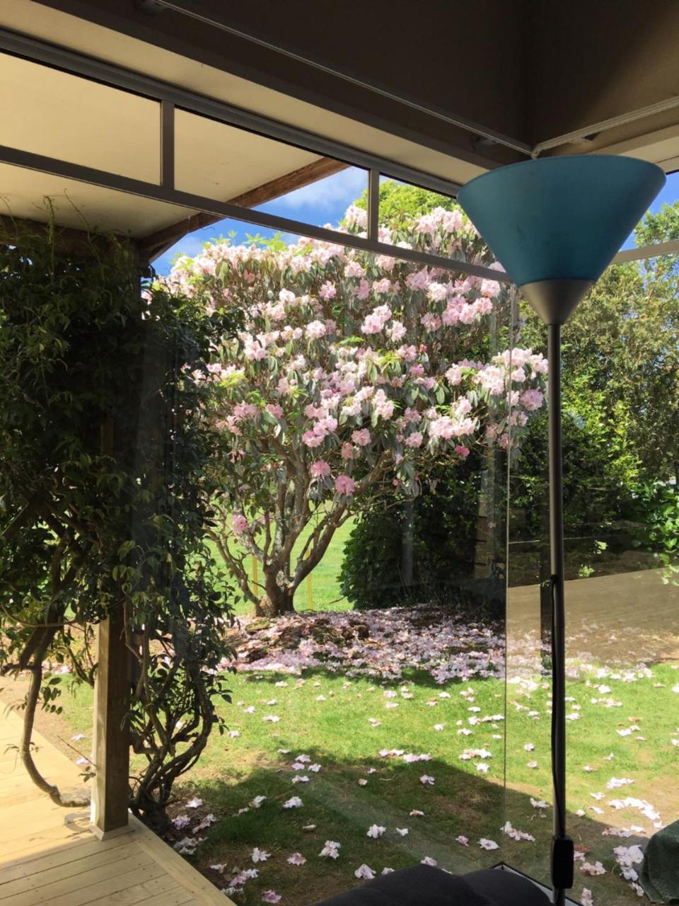 Pukeko Lodge Bnb New Plymouth Eksteriør billede